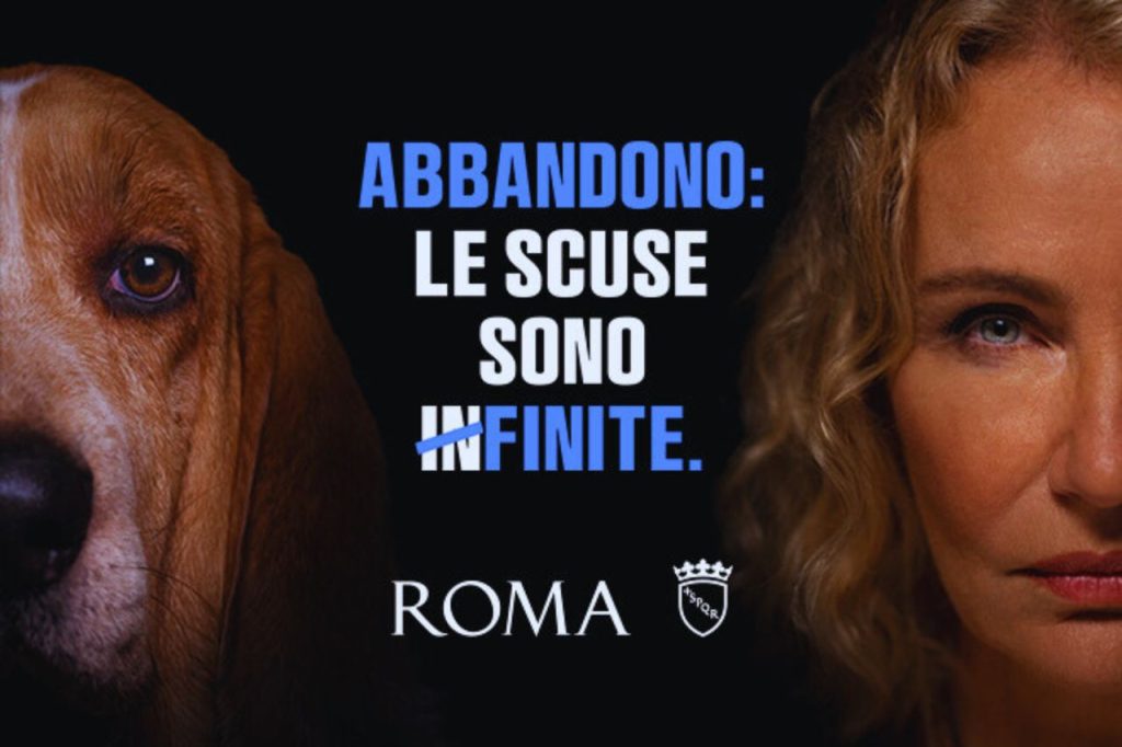 Amici Animali: tema dell'abbandono