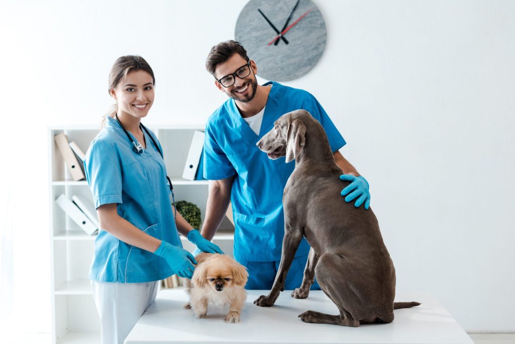 Veterinario