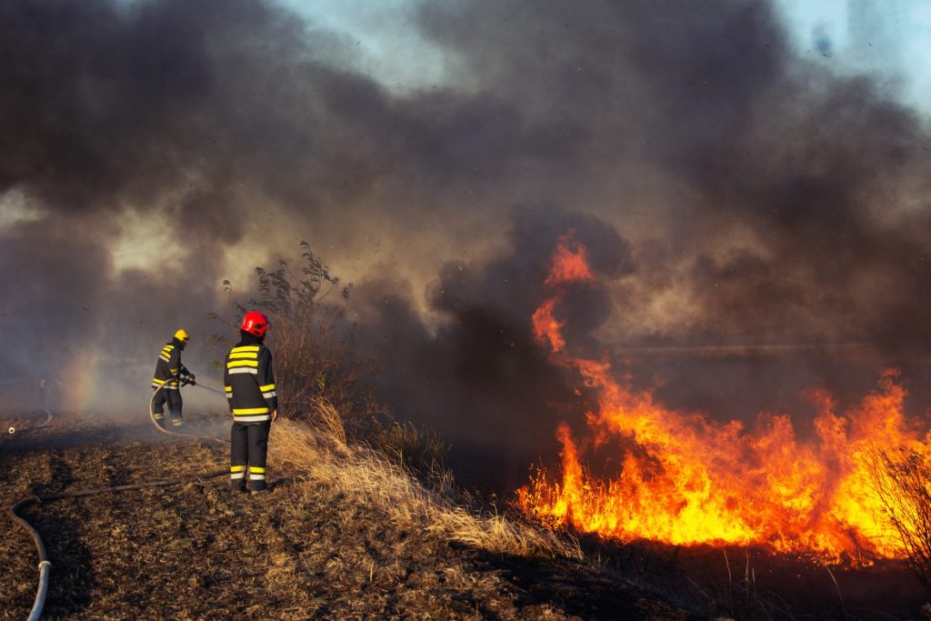 incendi boschivi