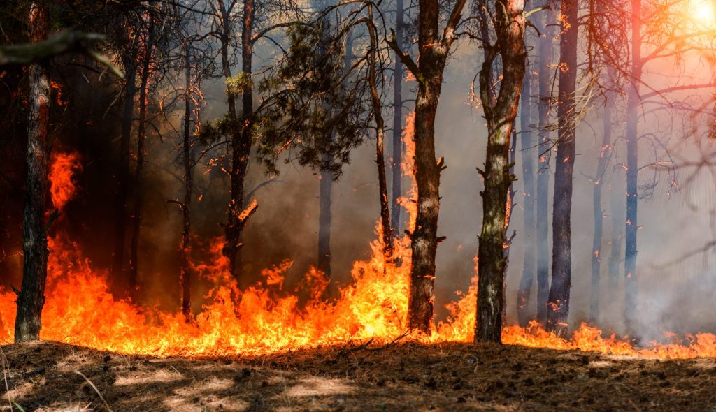 incendi