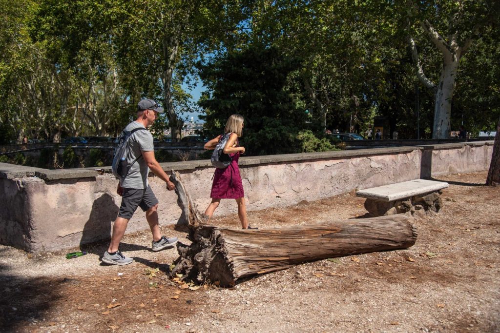 Piantumazione alberi Gianicolo