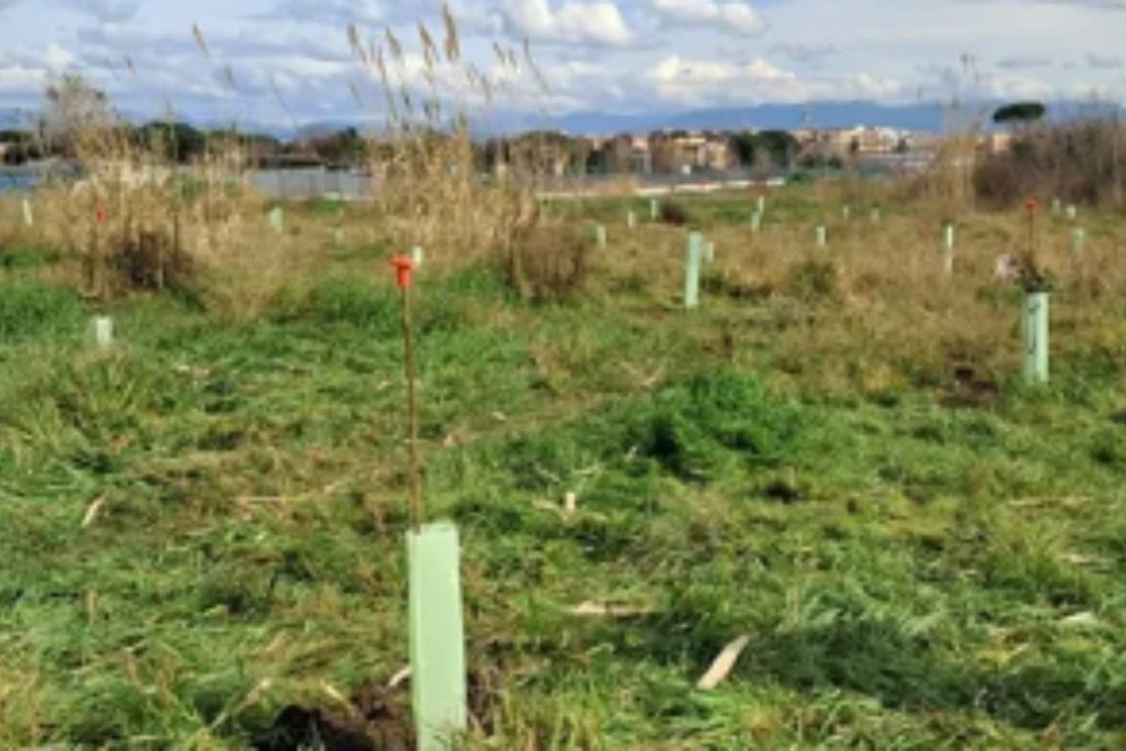 Alberi Monti Tiburtini