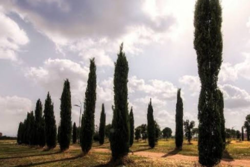 Parco di Centocelle