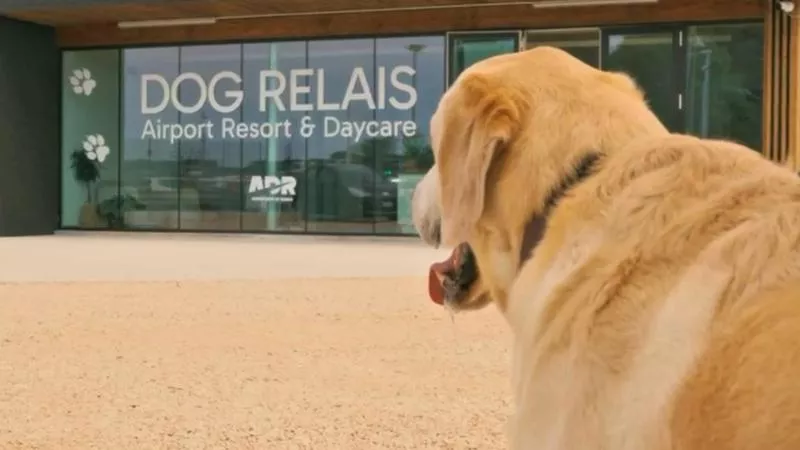 Dog Relais
