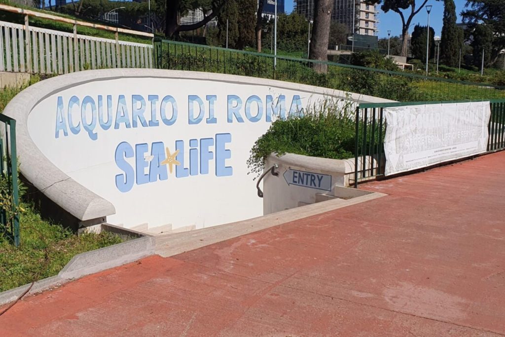 Acquario di Roma "Sea life"