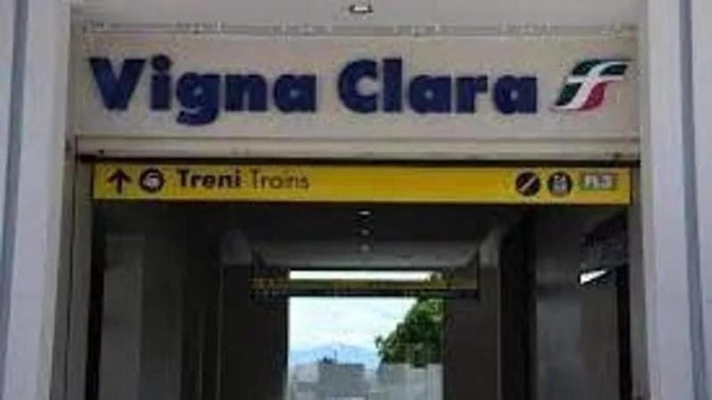 vigna clara